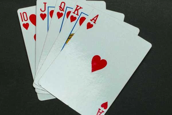 poket betting id
